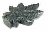 Kambaba Jasper “Maple Leaf” Sculpture or Soap Dish #378839-1